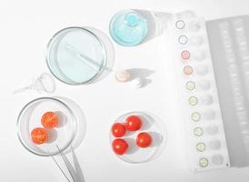 tomatoes in a petri dish on a laboratory table. lab glassware, test tubes and chemical substances for testing food quality. research and microbiology inspection. top view photo