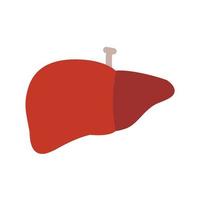 Liver Line Icon vector