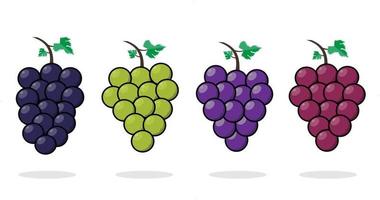 colección de uvas en estilo de dibujos animados ilustración de arte de vector de fruta de uvas