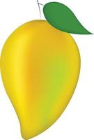 Realistic mango vector. Mango illustration fruit vector design stock image.