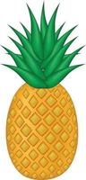 Realistic pineapple, Illustration of pineapple fruit with isolated cartoon style on white background. summer fruits, for a healthy and natural life, Vector illustration.