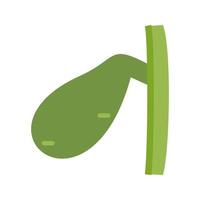 Gallbladder Line Icon vector