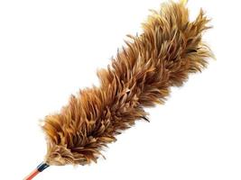 old feather duster isolated on white background photo