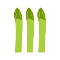 Asparagus Line Icon vector