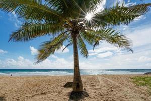 Beautiful blue sky and clouds with coconut palm trees leave on tropical beaches of Phuket Thailand on a sunny summer day Nature background. photo