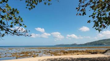 Leaves frame with Summer beach Amazing sea clear blue sky and white clouds Wave crashing on seashore Tree leaves frame over sea Copy space. photo