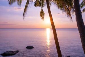 Silhouette coconut palm trees at sunset or sunrise sky over sea Amazing light nature colorful landscape Beautiful light nature sky and clouds photo