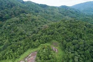 Aerial view Drone camera top view rainforest trees ecology with healthy environment concept and summer background. photo