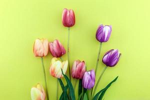 A bouquet of colorful tulips on yellow paper background Spring flower arrangement Background photo