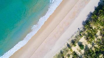 Aerial view sandy beach and waves Beautiful tropical sea in the morning in summer season with coconut palm trees on beach. Aerial view drone shot. high angle view Top down seascape photo