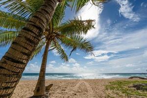 hermoso cielo azul y nubes con marco de hojas de palmeras de coco en las playas tropicales de phuket, tailandia, en un soleado día de verano, fondo natural. foto