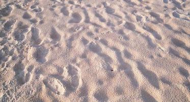 Detail of texture sand in tropical island Summer background and travel design High Quality Detail Of Curve sand texture with sunset or sunrise light on sand beach photo