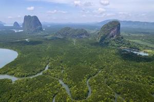Amazing abundant mangrove forest Aerial view of forest trees Rainforest ecosystem and healthy environment background Texture of green trees forest top down High angle view photo