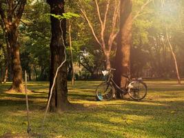 bicycle under the tree in the park photo