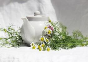 tetera de porcelana blanca con té de hierbas sobre un fondo de flores de manzanilla sobre un fondo blanco foto