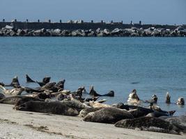 the island of Helgoland photo