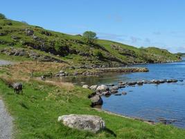 the city of Haugesund in Norway photo