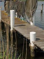 arnis at the river schlei in germany photo