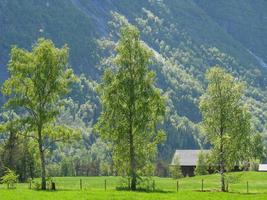 The small village Eidfjord in the norwegian Hardangerfjord photo