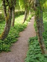 la ciudad de inverness y las tierras altas escocesas foto