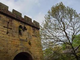 jardín y costa cerca de Newcastle en Inglaterra foto