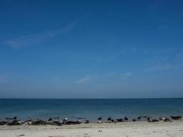 the island of Helgoland photo