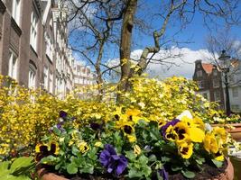 the dutch city Amsterdam photo