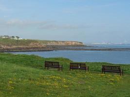 Garden and coastline near newcastle in england photo