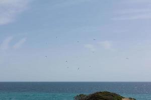 Seagulls flying over the blue sky above a cliff photo