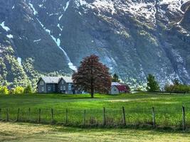 The small village Eidfjord in the norwegian Hardangerfjord photo