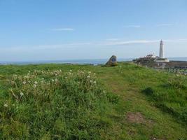 Garden and coastline near newcastle in england photo