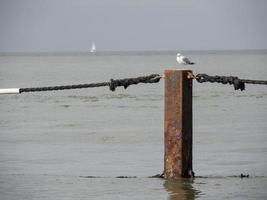 the city of cuxhaven at the north sea in germany photo