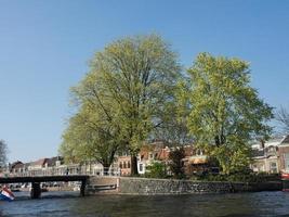 haarlem en los países bajos foto