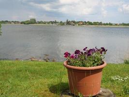 arnis at the river schlei in germany photo