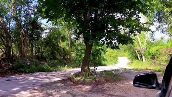 Driving on gravel path road in Tulum jungle nature Mexico. video