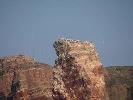 the island of Helgoland photo