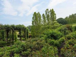 Garden and coastline near newcastle in england photo