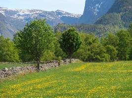 The small village Eidfjord in the norwegian Hardangerfjord photo