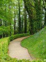 jardín y costa cerca de Newcastle en Inglaterra foto