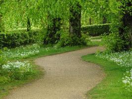 Garden and coastline near newcastle in england photo