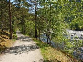 The small village Eidfjord in the norwegian Hardangerfjord photo