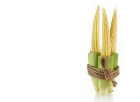 Fresh baby corn isolated photo