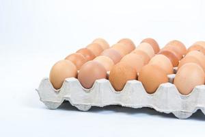 Egg in an egg crate on white background photo