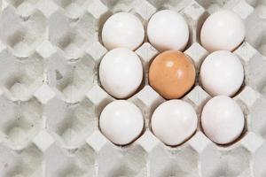 huevo en una caja de huevos sobre fondo blanco foto