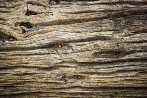 telón de fondo de pared de madera para el fondo foto