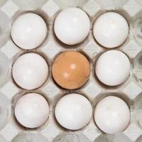 Egg in an egg crate on white background photo