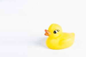 bath duck on white background duck toy Cute rubber duck photo