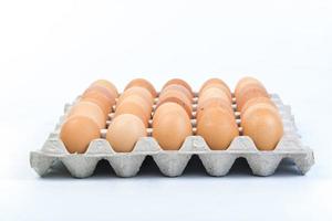 Egg in an egg crate on white background photo