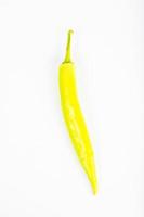 chilli  pepper  on white background photo