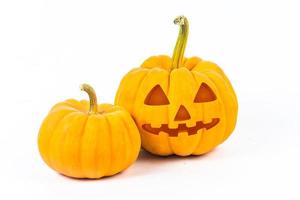 Halloween Pumpkins on white background photo